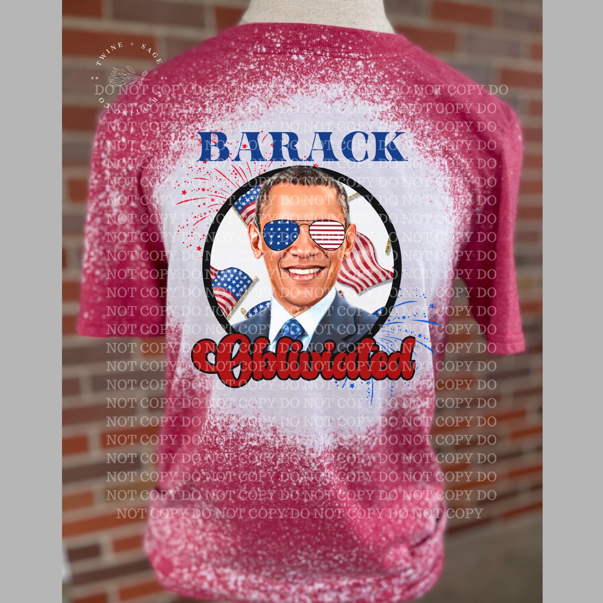President Shirt, Fourth Of July Tee, 4th Of July T-Shirt, Drinking Shirt, Red White Blue, Adult Humor Shirt, Summer Graphic Tee, Women's Tee