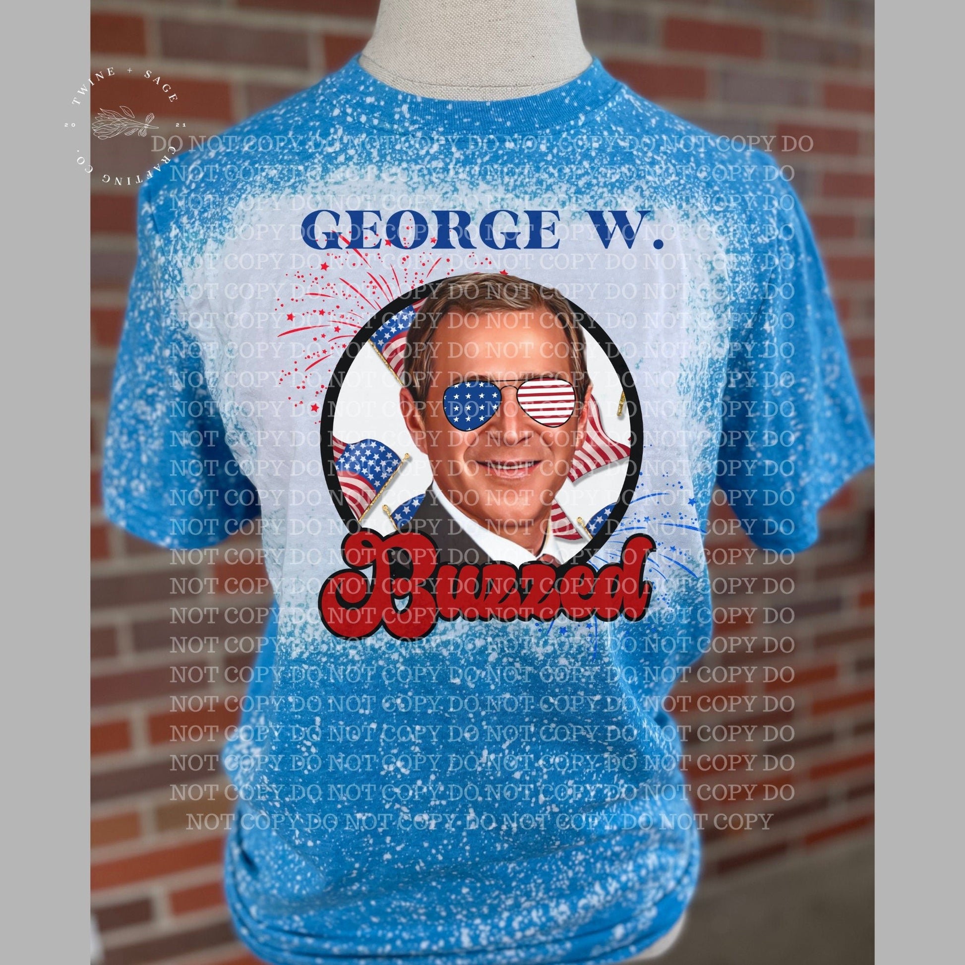 President Shirt, Fourth Of July Tee, 4th Of July T-Shirt, Drinking Shirt, Red White Blue, Adult Humor Shirt, Summer Graphic Tee, Women's Tee - Twine + Sage Co. LLC