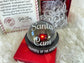 Santa Cam Christmas Blinking Mock Surveillance Camera and Santa Letter, North Pole Elves, Holiday Gift Wrapped, No Peeking, Xmas Decor, Xmas - Twine + Sage Co. LLC